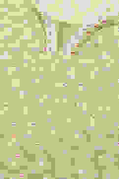 Green Printed Straight Kurta & Pants Suit Set image number 1