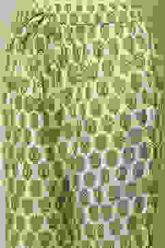 Ivory Printed Straight Kurta & Pants Suit Set image number 2