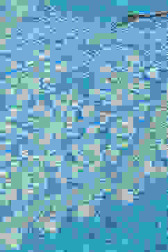 Blue LIVA Straight Printed Kurta image number 1