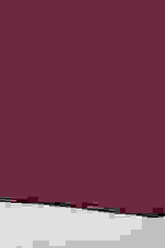 Rust Polyester Printed Dupatta image number 1