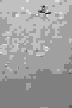 Green LIVA Straight Printed Kurta image number 1