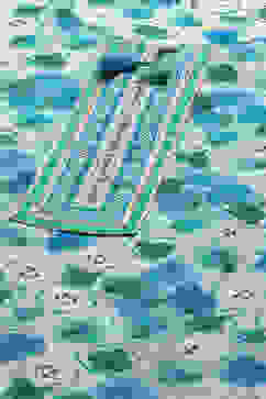 Blue Cambric Straight Suit Set image number 1