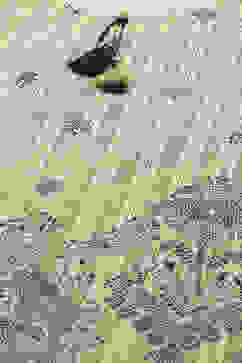 Ecru Printed Straight Kurti image number 1