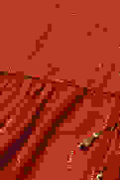 Rust LIVA Flared Printed Dress image number 1