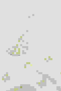 White Poly Georgette Embroidered Straight Kurta image number 1