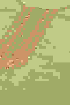 Ecru Viscose Straight Printed Kurta Palazzo Suit Set image number 1