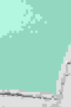 Sea Green Poly Chiffon Dupatta image number 1