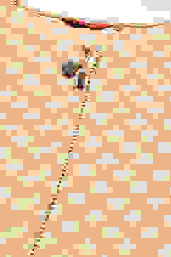 Pink Cotton Blend Straight Printed Kurta Palazzo Suit Set image number 1