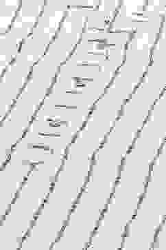 Off-white Printed Straight Kurta image number 1