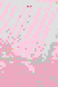 Pink Embroidered Straight Kurta image number 1