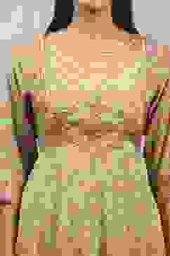 Lime Viscose Rayon Printed Anarkali Suit Set image number 1