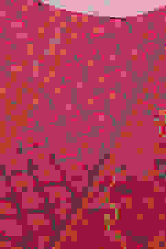 Pink LIVA Straight Printed Kurta image number 1