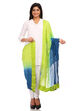 Ombre Cotton Stole image number 0