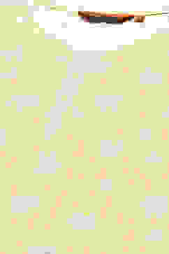 Yellow Floral Printed Straight Kurta image number 1