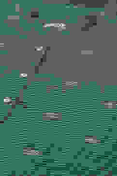 Blue Cotton Striped Straight Kurta image number 1