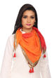 Red Chiffon Scarf image number 0