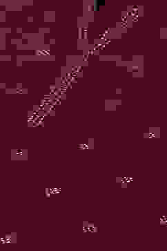 Purple LIVA Straight Printed Kurta image number 1