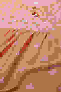 Coral LIVA Straight Printed Kurta Palazzo Suit Set image number 1