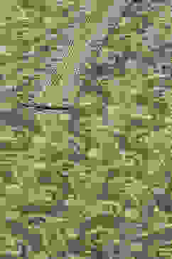 Pink LIVA Straight Printed Kurta image number 1