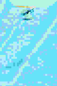 Aqua Blue LIVA Straight Printed Kurta image number 1