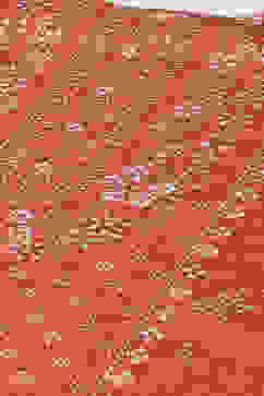 Red Acrylic Straight Printed Kurta image number 1