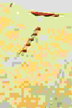 Yellow Rayon A-line Kurta image number 1