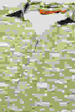 Green Rayon Straight Suit Set image number 1