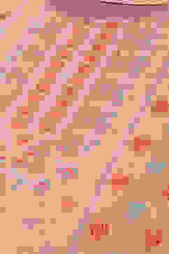 Peach Jacquard Straight Printed Kurta Palazzo Suit Set image number 1