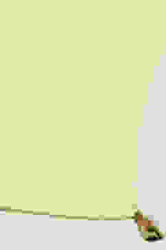 Green Poly Chiffon Printed Kurta & Pants Suit Set image number 3