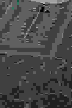 Green LIVA Straight Printed Kurta image number 1