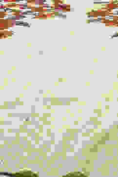 Ecru LIVA Straight Printed Top image number 1