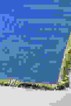 Blue Polyester Printed Dupatta image number 1