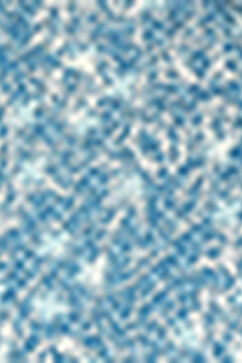 Blue and White Floral Printed Straight Kurta image number 6