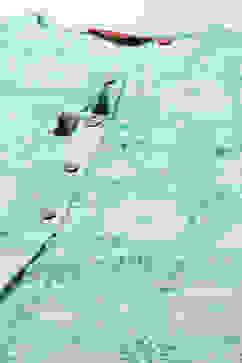 Mint Green Viscose Straight Printed Kurta image number 1