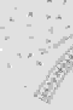 Off White Polyester Dupatta image number 3