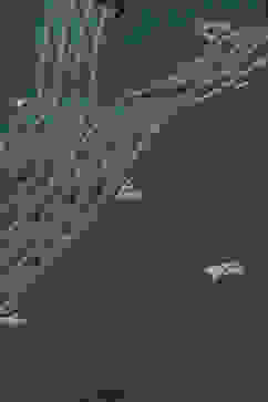 Green Cotton Staight Kurta image number 1