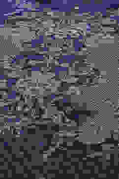 Blue LIVA Straight Printed Kurta Palazzo Suit Set image number 1