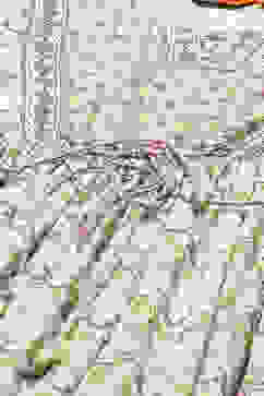 Ecru LIVA Tiered Printed Dress image number 1