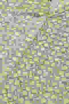 Green LIVA Blend Straight Printed Kurta image number 1