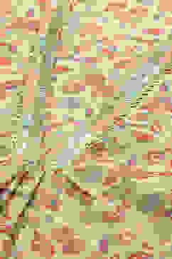 Ecru Viscose Blend Floral Printed Straight Co-ord Set image number 1