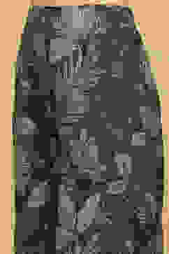 Green Viscose Blend Printed Straight Co-ord Set image number 2