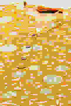 Mustard Viscose Staight Kurta image number 1