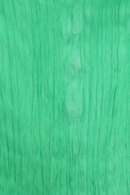 Green Viscose Stole image number 1