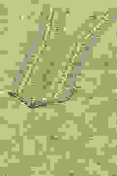 Green Poly Chiffon Printed Kurta & Pants Suit Set image number 1