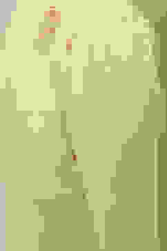 Green Poly Chiffon Printed Kurta & Pants Suit Set image number 2