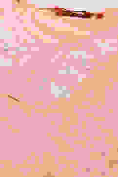 Pink Rayon Slub Indie Top image number 1