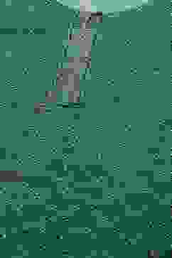 Teal Blue LIVA Straight Printed Kurta image number 1