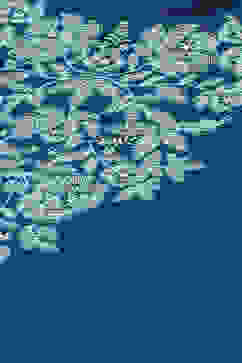 Cobalt Blue Acrylic Straight Solid Kurta image number 1