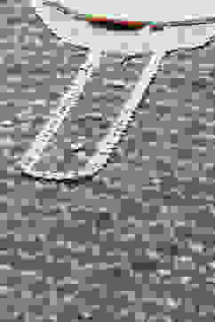 Sage Green Rayon Staight Kurta image number 1