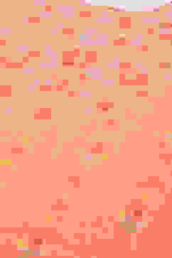 Pink LIVA Straight Printed Kurta image number 1